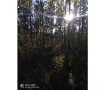 Parcelas en Venta Ñuble Cobquecura - Fotos de EL TOYO, COBQUECURA, 2.5 ha.